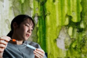 Common Mistakes in DIY Toxic Black Mold Testing
