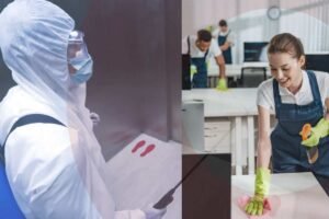 DIY vs Professional Toxic Black Mold Testing - Pros and Cons
