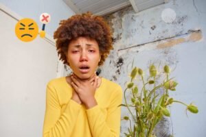 How Toxic Black Mold Exposure Amplifies Seasonal Allergy Symptoms