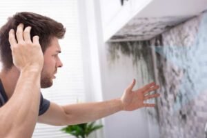 How Older Building Age Affects Toxic Black Mold Testing Strategies
