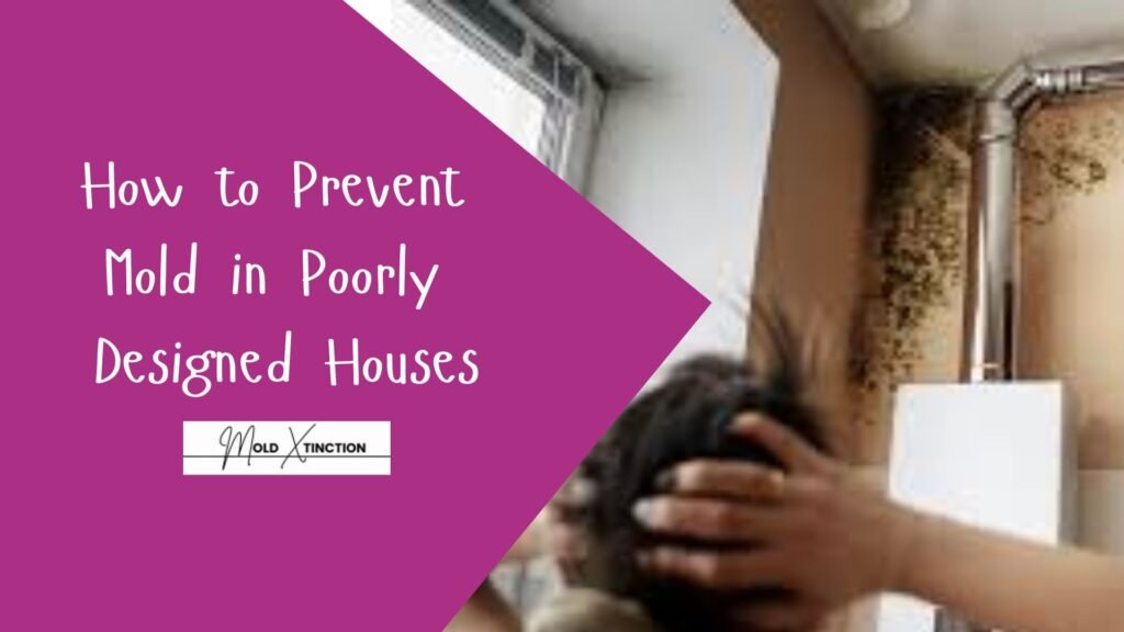 How to Prevent Mold in Poorly Designed Houses
