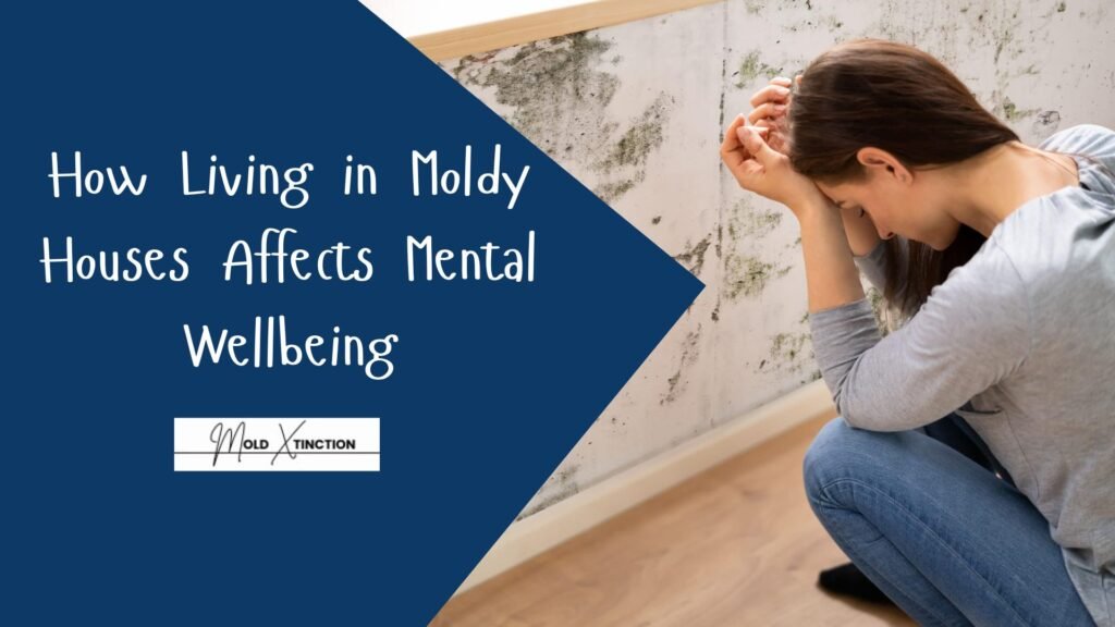 How Living in Moldy Houses Affects Mental Wellbeing