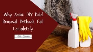 Why Some DIY Mold Removal Methods Fail Completely