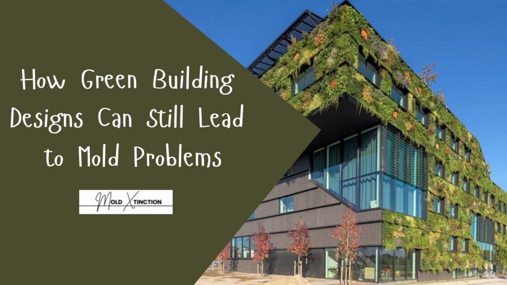 How Green Building Designs Can Still Lead to Mold Problems
