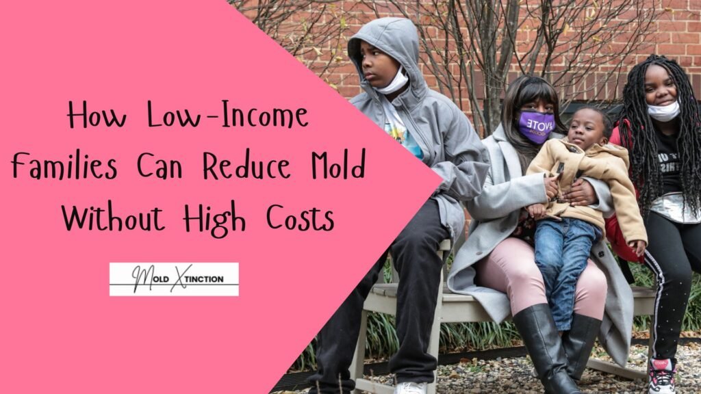 How Low-Income Families Can Reduce Mold Without High Costs