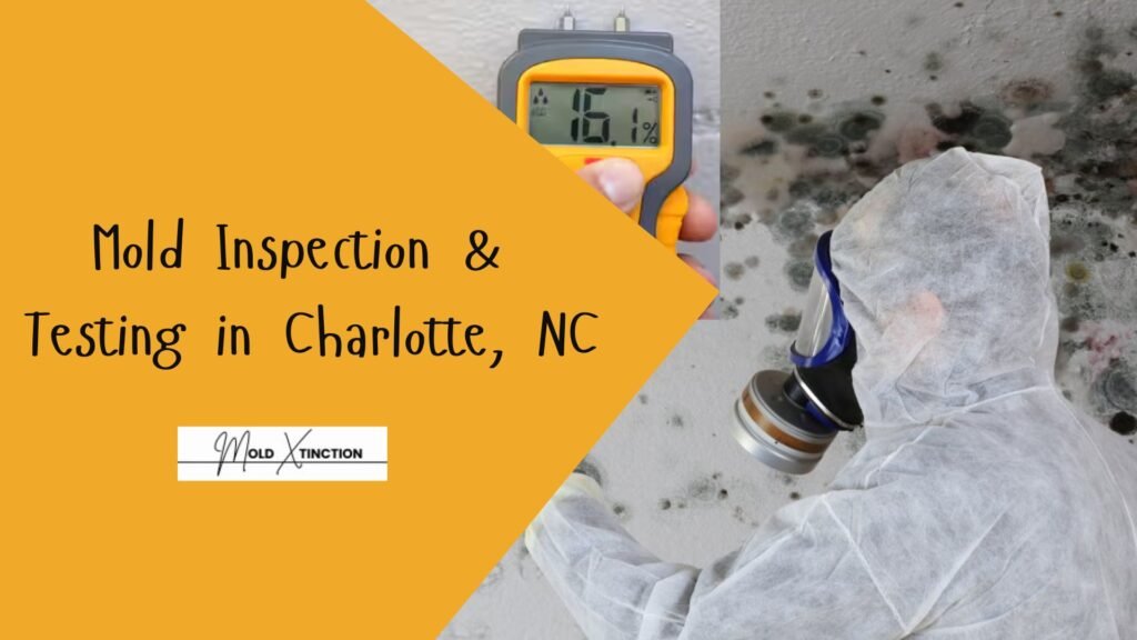 Mold Inspection & Testing in Charlotte, NC