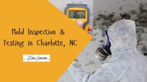 Mold Inspection & Testing in Charlotte, NC