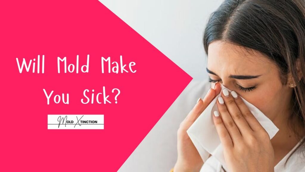 Will Mold Make You Sick?