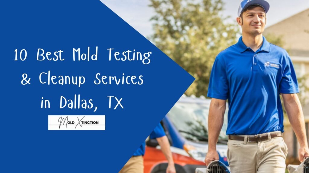10 Best Mold Testing & Cleanup Services in Dallas, TX