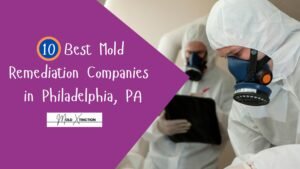 10 Best Mold Remediation Companies in Philadelphia, PA