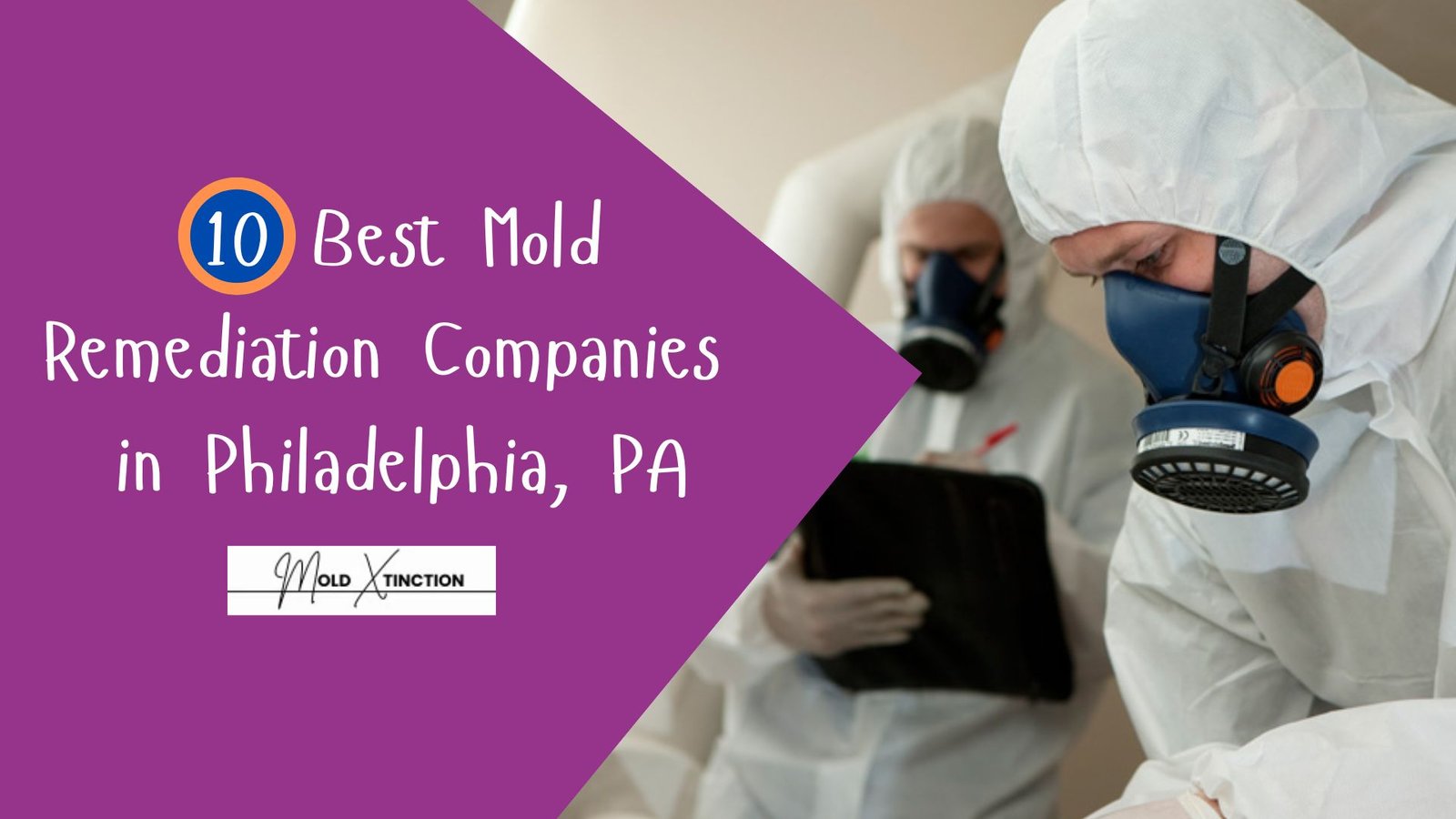 10 Best Mold Remediation Companies in Philadelphia, PA