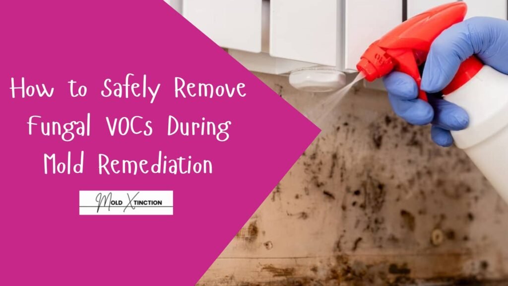How to Safely Remove Fungal VOCs During Mold Remediation