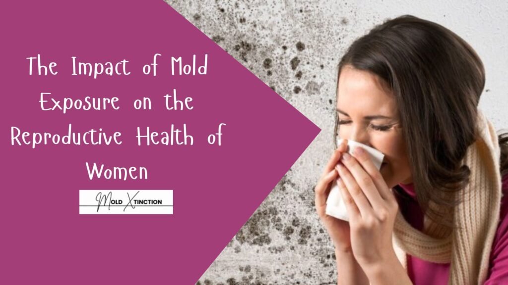 The Impact of Mold Exposure on the Reproductive Health of Women