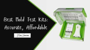 Best Mold Test Kits in 2025: Accurate, Affordable & Easy to Use