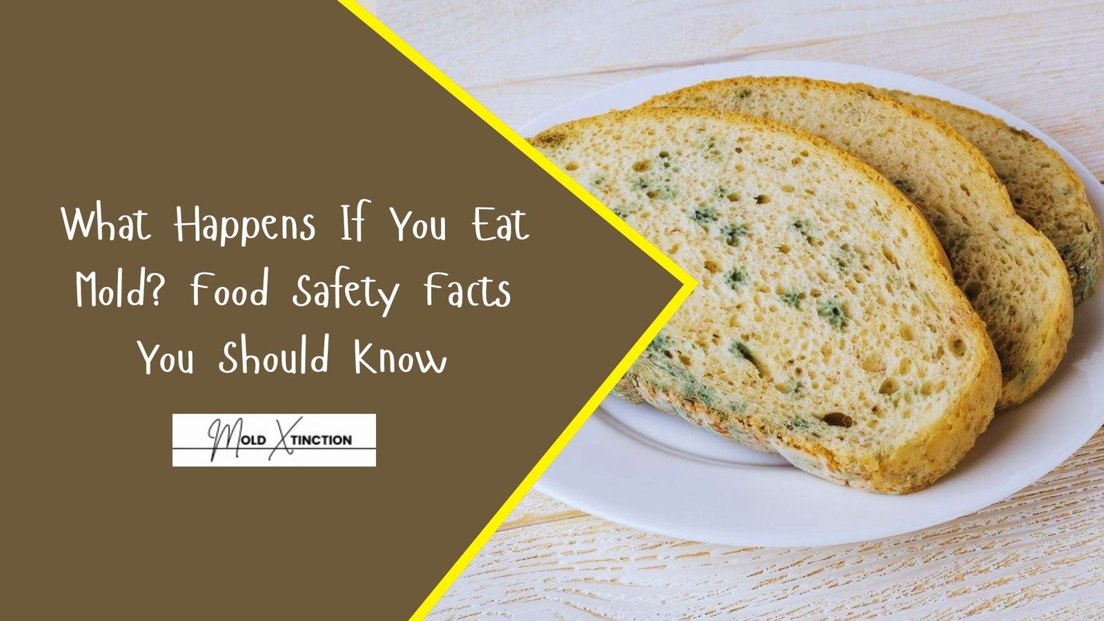 What Happens If You Eat Mold? Food Safety Facts You Should Know