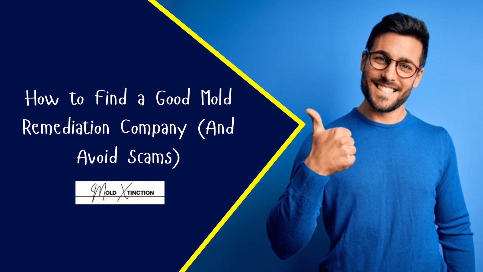 How to Find a Good Mold Remediation Company (And Avoid Scams)