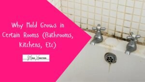 Why Mold Grows in Certain Rooms (Bathrooms, Kitchens & More)