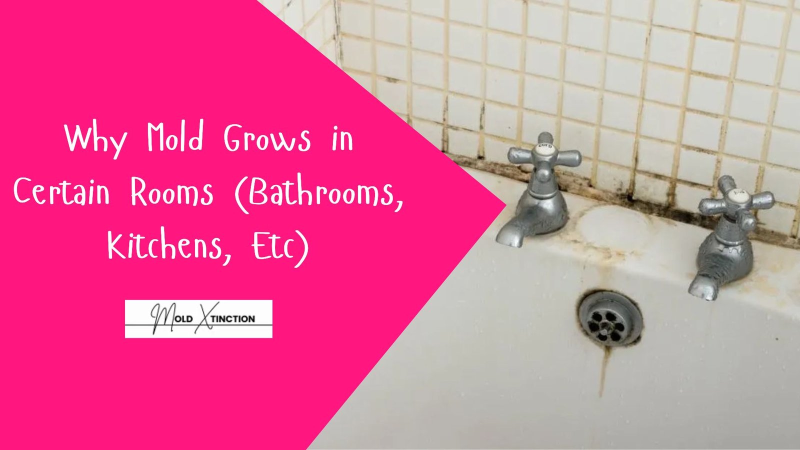Why Mold Grows in Certain Rooms (Bathrooms, Kitchens & More)