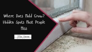 Where Does Mold Grow? Hidden Spots Most People Miss