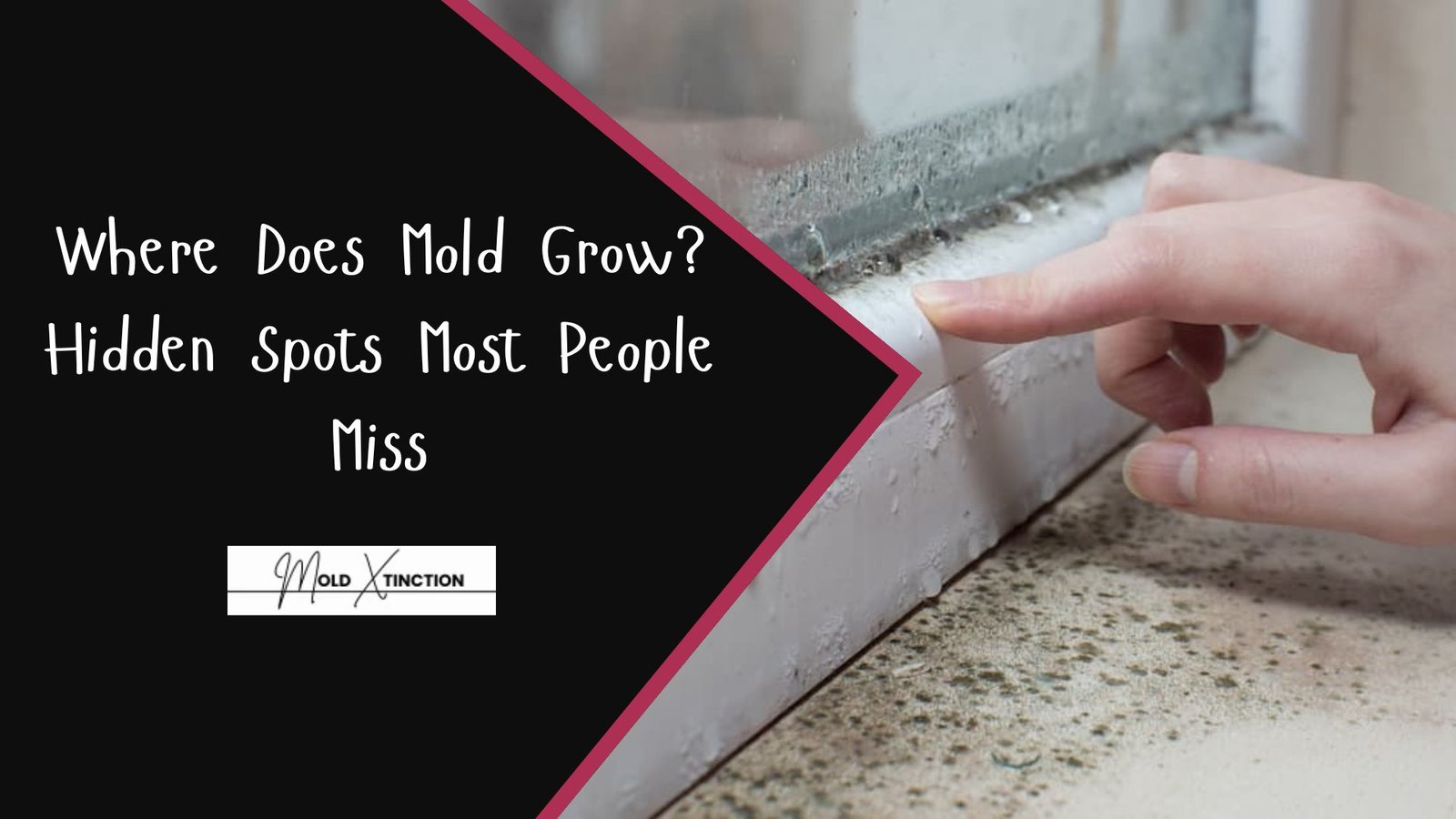 Where Does Mold Grow? Hidden Spots Most People Miss