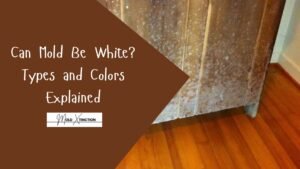 Can Mold Be White? Types and Colors Explained