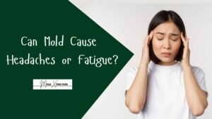 Can Mold Cause Headaches or Fatigue?