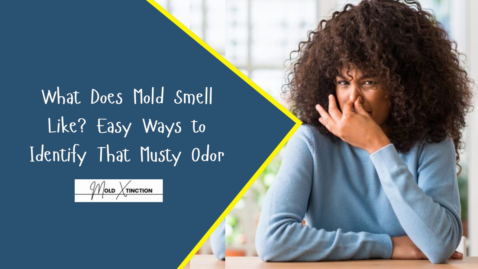 What Does Mold Smell Like? Easy Ways to Identify That Musty Odor