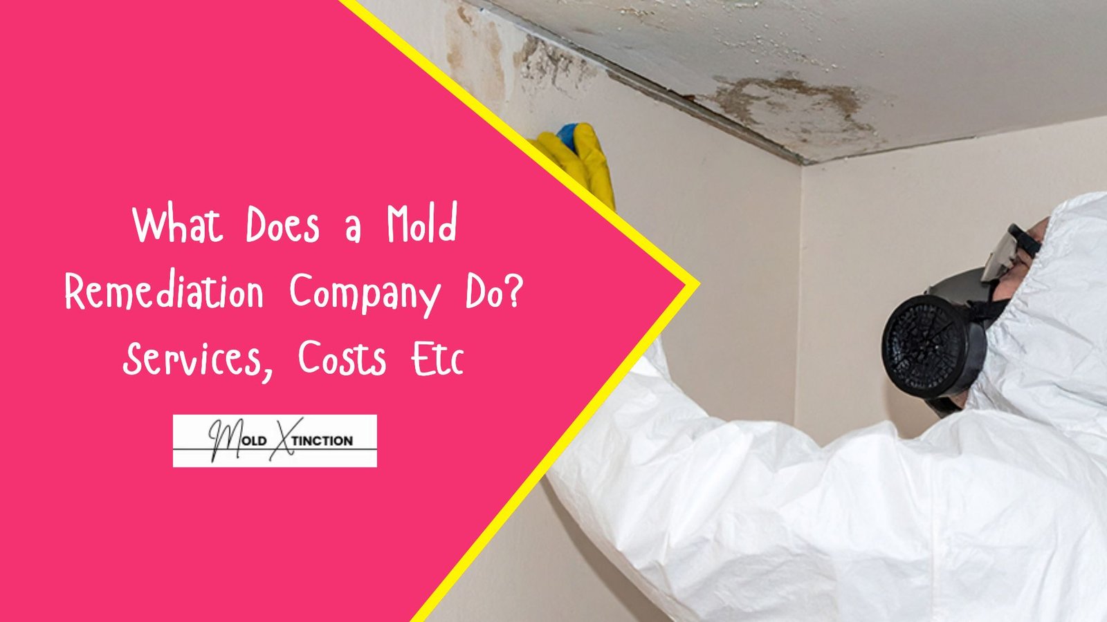 What Does a Mold Remediation Company Do? Services, Costs & Expectations