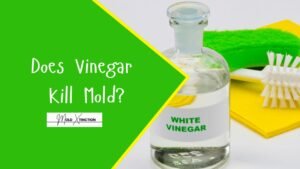 Does Vinegar Kill Mold? Truth, Myths & How to Use It Safely at Home