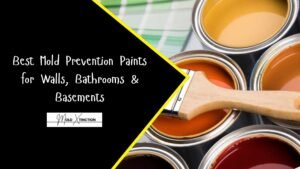 Best Mold Prevention Paints for Walls, Bathrooms & Basements