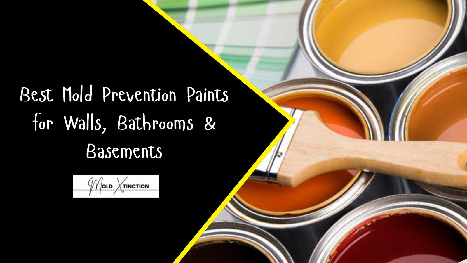 Best Mold Prevention Paints for Walls, Bathrooms & Basements