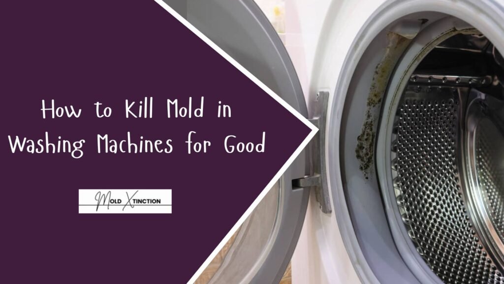 How to Kill Mold in Washing Machines for Good