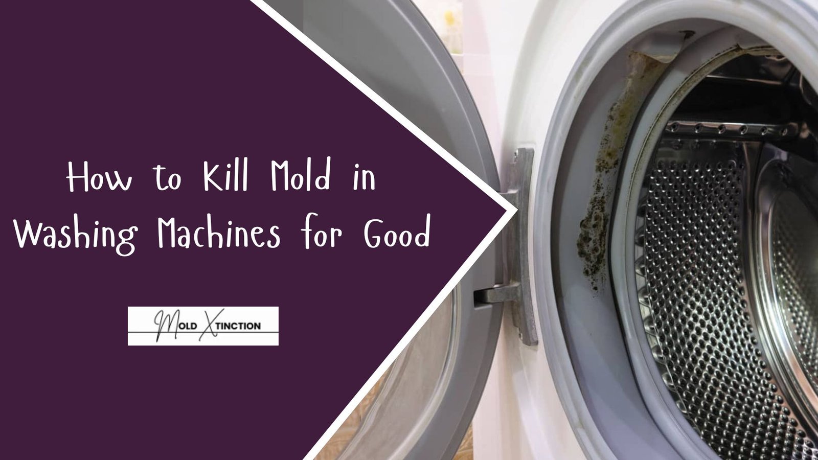 How to Kill Mold in Washing Machines for Good