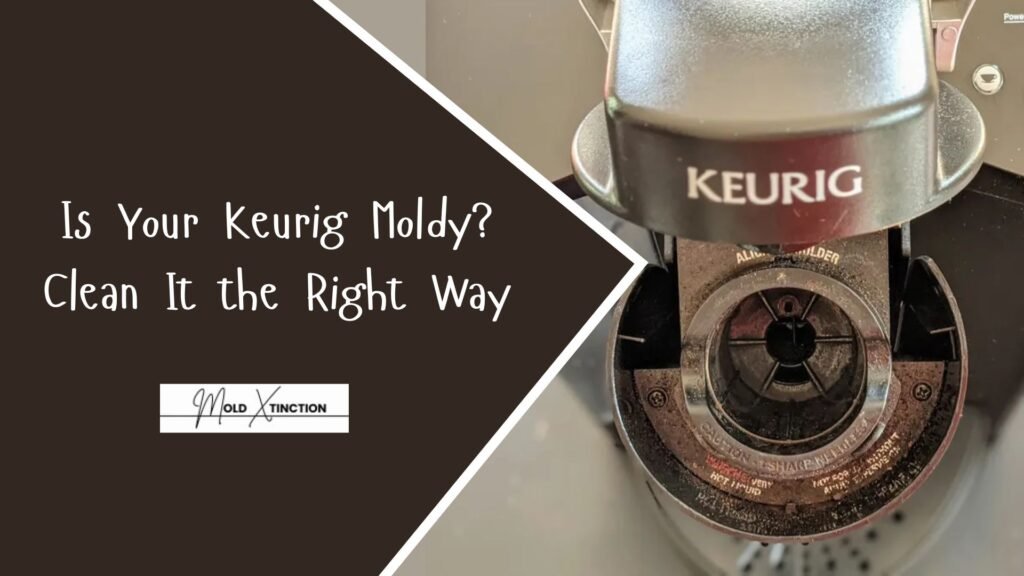 Is Your Keurig Moldy? How to Clean a Moldy Keurig the Right Way