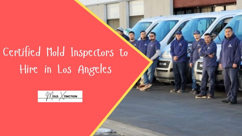 Certified Mold Inspectors to Hire in Los Angeles