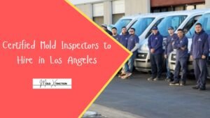 Certified Mold Inspectors to Hire in Los Angeles