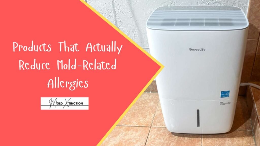 Top 5 Products That Actually Reduce Mold-Related Allergies