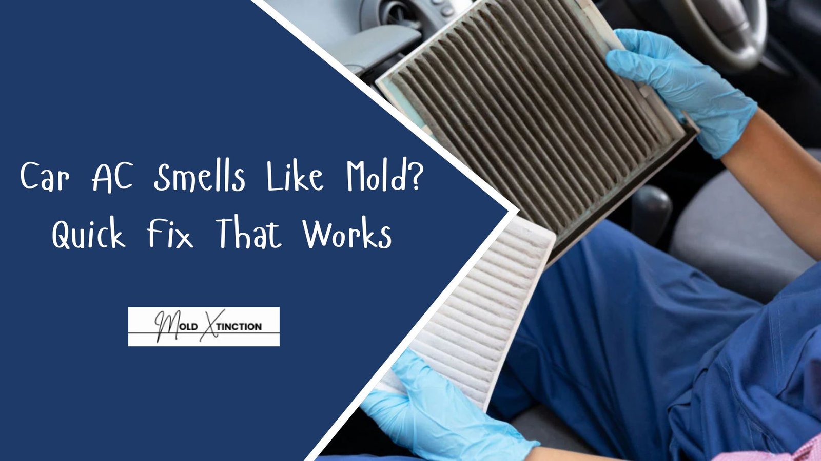 Car AC Smells Like Mold? Quick Fix That Works