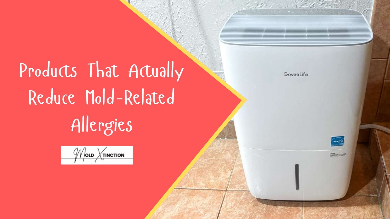 Top 5 Products That Actually Reduce Mold-Related Allergies