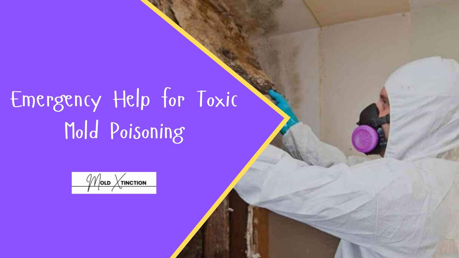 Emergency Help for Toxic Mold Poisoning