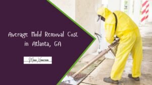 Average Mold Removal Cost in Atlanta, GA