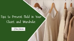 Tips to Prevent Mold in Your Closet and Wardrobe