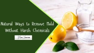Natural Ways to Remove Mold Without Harsh Chemicals