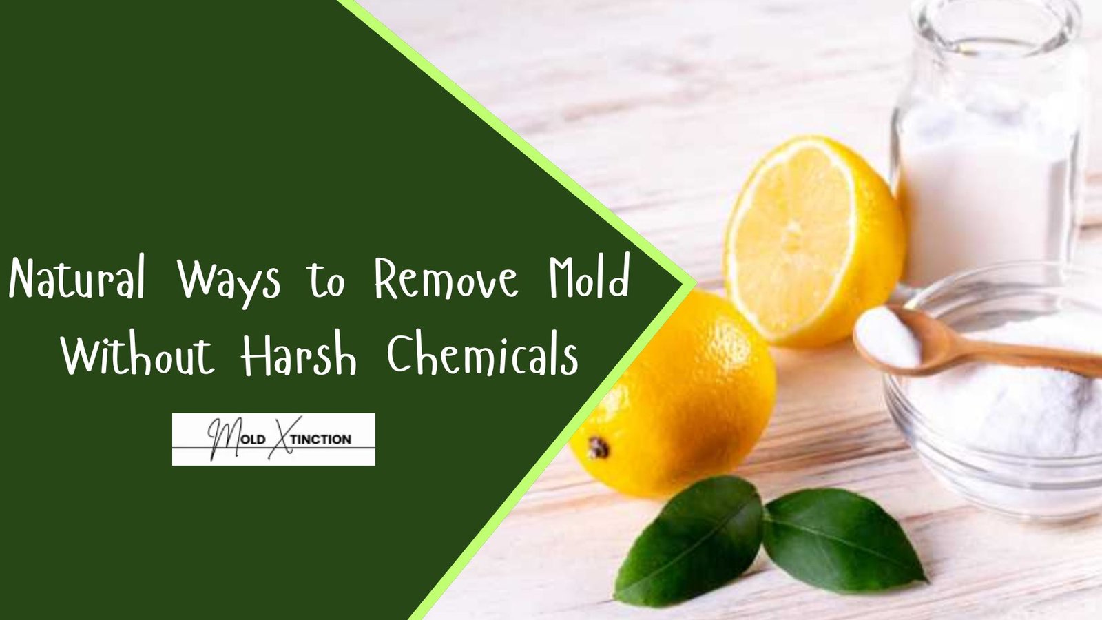 Natural Ways to Remove Mold Without Harsh Chemicals