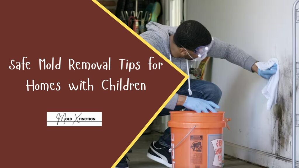 Safe Mold Removal Tips for Homes with Children