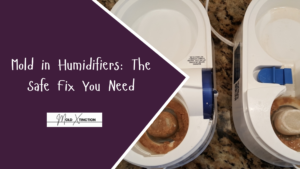 Mold in Humidifiers: The Safe Fix You Need