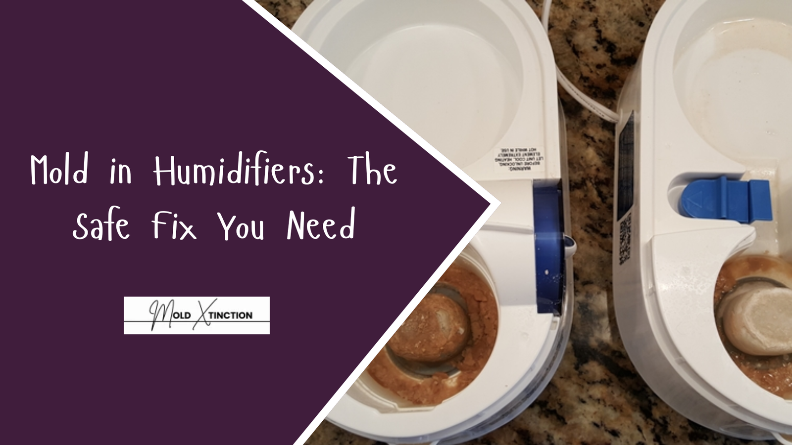 Mold in Humidifiers: The Safe Fix You Need